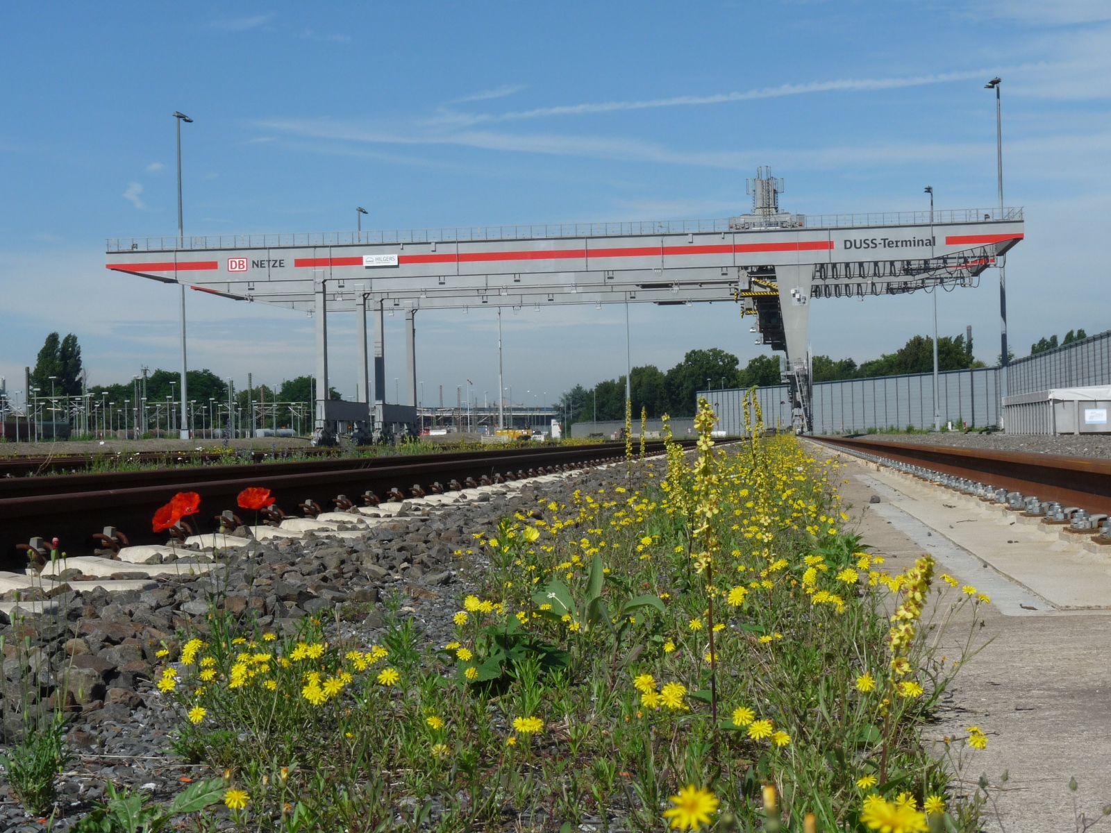 Frankfurt Fulda Bahn Ausbau