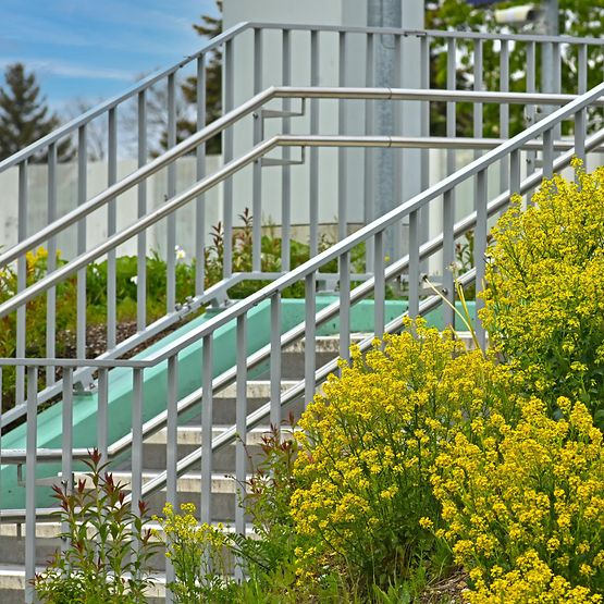 Eine Treppe mit Handläufen