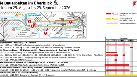 Neuer Inhalt (3)