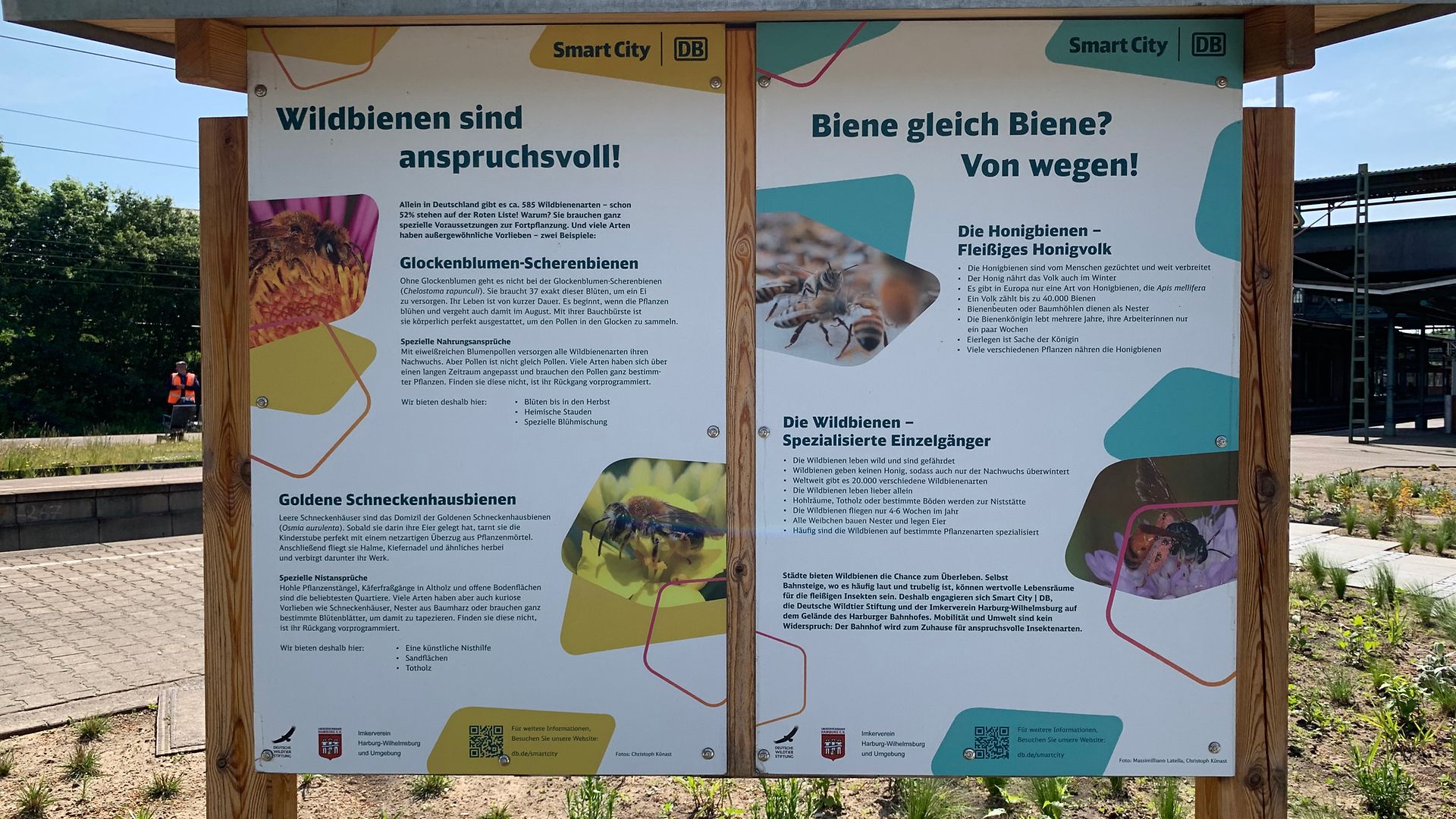 An information board with pictures and texts about wild bees